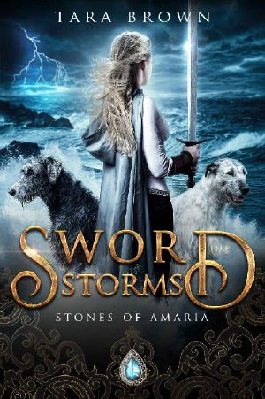 [Stones of Amaria 02] • Sword of Storms